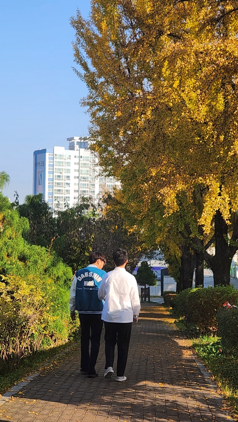 b556f3535a6295c979ffada4ede96120_1698910149_7675.jpg