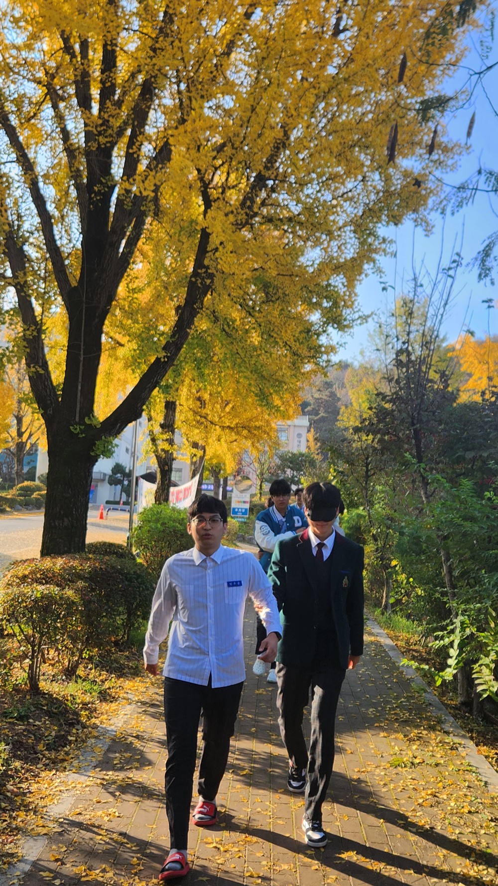 b556f3535a6295c979ffada4ede96120_1698910174_7172.jpg